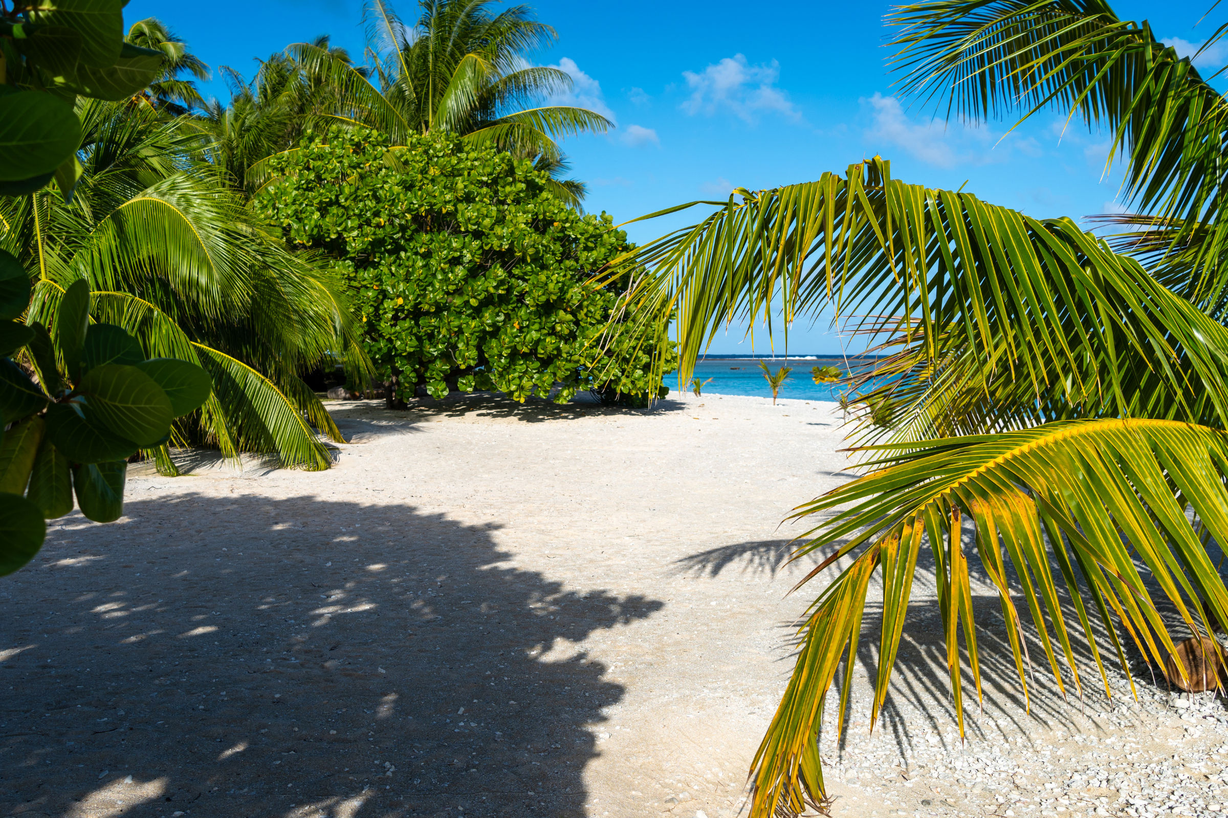 tikehau atoll.webp